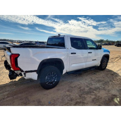 2026 TOYOTA TUNDRA 5TFLA5DB7TX339501 74786185