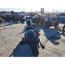 2020 HARLEY-DAVIDSON SPRTSTR120 1HD1LC320LB403929 76646495