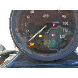 2020 HARLEY-DAVIDSON SPRTSTR120 1HD1LC320LB403929 76646495