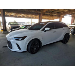 2025 LEXUS RX350 2T2BBMCA0SC073744 99828855
