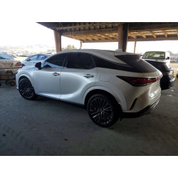 2025 LEXUS RX350 2T2BBMCA0SC073744 99828855