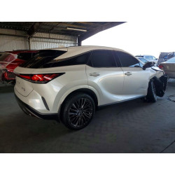 2025 LEXUS RX350 2T2BBMCA0SC073744 99828855