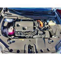 2025 LEXUS RX350 2T2BBMCA0SC073744 99828855