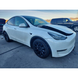 2021 TESLA MODEL Y 5YJYGDEE9MF074907 99169135