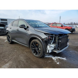 2023 LEXUS NX 350 2T2KGCEZ5PC024366 75660045