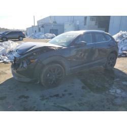 2025 MAZDA CX30 3MVDMBBM9SM835546 75881795