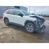 2022 TOYOTA RAV4 4T3LWRFV9NU070795 78522865