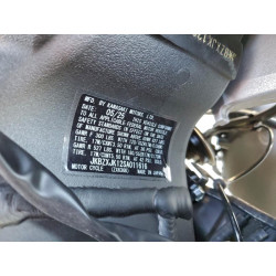 2025 KAWASAKI ZX636 K JKBZXJK12SA011616 97515635