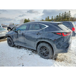 2025 LEXUS NX 350H BA 2T2GKCEZ6SC050066 76927895