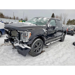 2023 FORD F-150 1FTFW1E54PKE53670 77726255