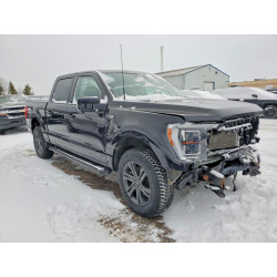 2023 FORD F-150 1FTFW1E54PKE53670 77726255