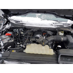 2023 FORD F-150 1FTFW1E54PKE53670 77726255