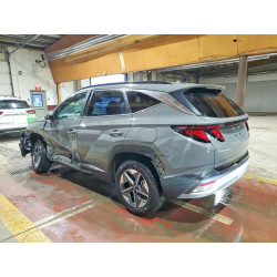 2025 HYUNDAI TUCSON 5NMJBCDE6SH517618 77885295