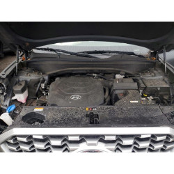 2021 HYUNDAI PALISADE KM8R4DHE9MU263570 77931685