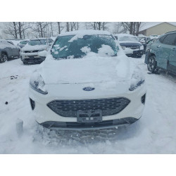 2020 FORD ESCAPE 1FMCU9G64LUC14157 74782115