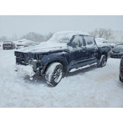 2025 TOYOTA TUNDRA 5TFMA5DBXSX263744 75821325