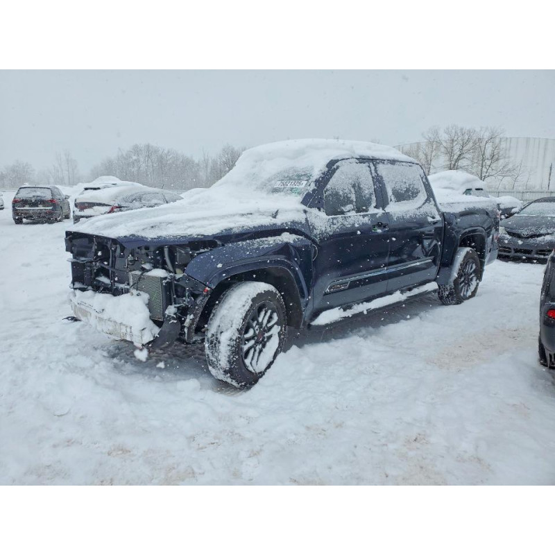 2025 TOYOTA TUNDRA 5TFMA5DBXSX263744 75821325