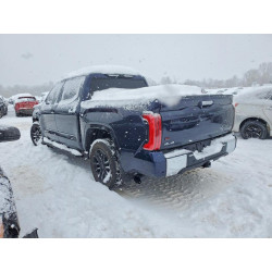 2025 TOYOTA TUNDRA 5TFMA5DBXSX263744 75821325