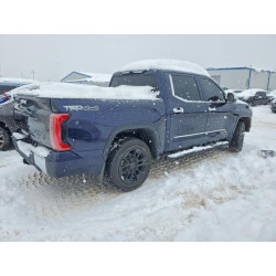 2025 TOYOTA TUNDRA 5TFMA5DBXSX263744 75821325