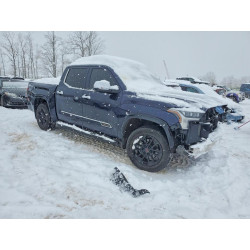 2025 TOYOTA TUNDRA 5TFMA5DBXSX263744 75821325