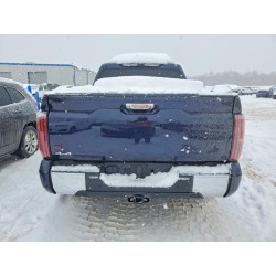 2025 TOYOTA TUNDRA 5TFMA5DBXSX263744 75821325