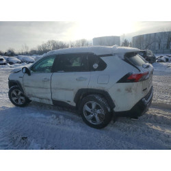 2020 TOYOTA RAV4 2T3DWRFV7LW049008 75906695