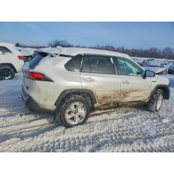 2020 TOYOTA RAV4 2T3DWRFV7LW049008 75906695
