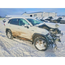 2020 TOYOTA RAV4 2T3DWRFV7LW049008 75906695