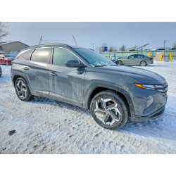 2024 HYUNDAI TUCSON 5NMJFCDE2RH438655 75957285
