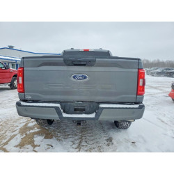 2023 FORD F-150 1FTFX1E5XPFA19596 76720975