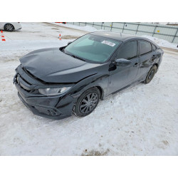 2021 HONDA CIVIC 2HGFC2F67MH521941 76337105