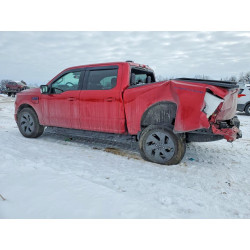 2024 FORD F150 LIGHT 1FT6W3L76RWG03676 76787235