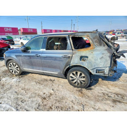 2022 KIA TELLURIDE 5XYP6DHC7NG271366 76793895