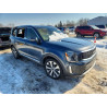 2022 KIA TELLURIDE 5XYP6DHC7NG271366 76793895