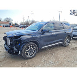 2025 HYUNDAI PALISADE KM8R4DGE9SU818046 77314255