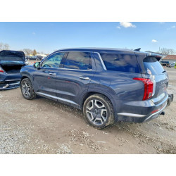 2025 HYUNDAI PALISADE KM8R4DGE9SU818046 77314255