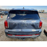 2025 HYUNDAI PALISADE KM8R4DGE9SU818046 77314255