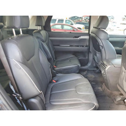 2025 HYUNDAI PALISADE KM8R4DGE9SU818046 77314255