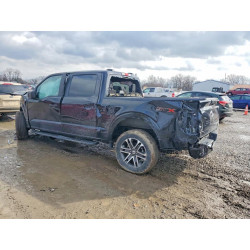 2022 FORD F-150 1FTEW1EP7NFA64735 77826825