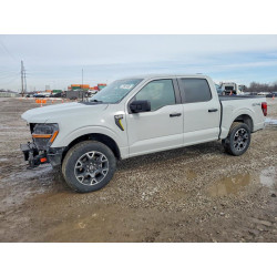 2024 FORD F150 STX 1FTEW2LP6RKE81768 77841935