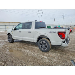 2024 FORD F150 STX 1FTEW2LP6RKE81768 77841935