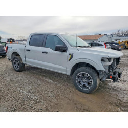 2024 FORD F150 STX 1FTEW2LP6RKE81768 77841935
