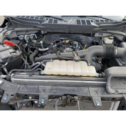 2024 FORD F150 STX 1FTEW2LP6RKE81768 77841935