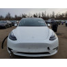 2024 TESLA MODEL Y 7SAYGDED1RF162349 72694795