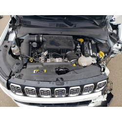 2024 JEEP COMPASS 3C4NJDCN4RT141252 73210115