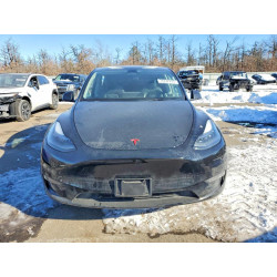 2023 TESLA MODEL Y 7SAYGAEE8PF846688 74232225