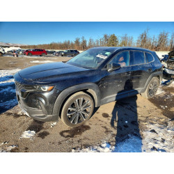 2024 MAZDA CX-50 7MMVABDY1RN214378 74916535