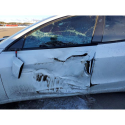 2022 TESLA MODEL 3 5YJ3E1EA4NF129082 75030755