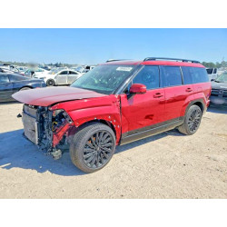 2025 HYUNDAI SANTA FE 5NMP5DGL9SH113276 78990225