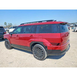 2025 HYUNDAI SANTA FE 5NMP5DGL9SH113276 78990225